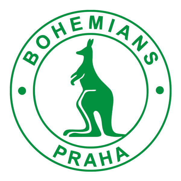 Logo Partner 1